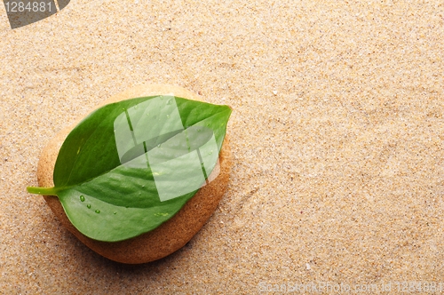 Image of zen stone with leaf