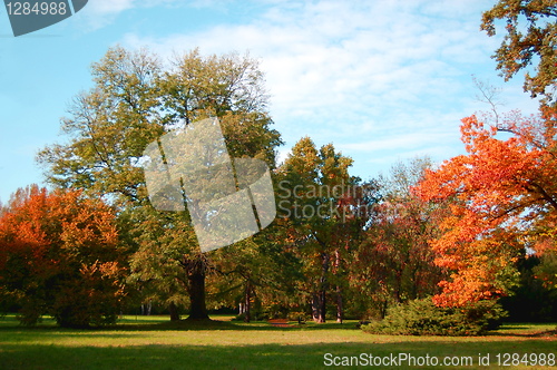 Image of fall in the park with green trees under blue sky