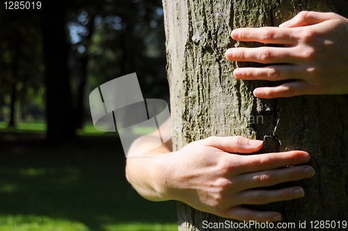 Image of ecology