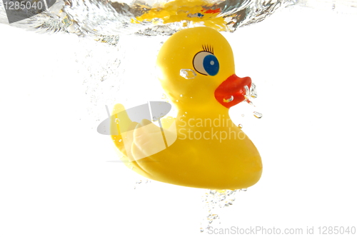 Image of rubber duck