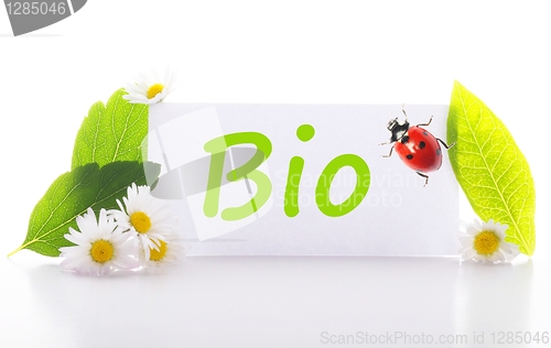 Image of bio