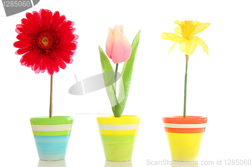 Image of flowers in pot