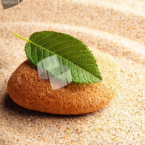 Image of zen stone with leaf