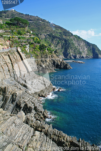 Image of Italy. Cinque Terre coastline