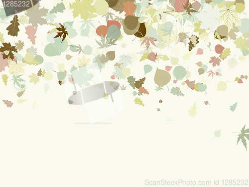 Image of Autumn design with leafs. EPS 8