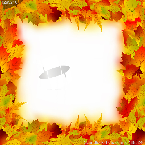 Image of Multicolored maple leaves frame. EPS 8