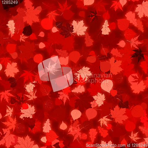 Image of Red autumn background with leaves. EPS 8