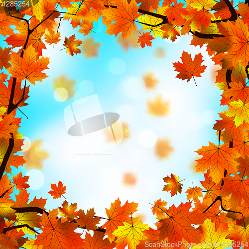 Image of Red and yellow leaves against blue sky. EPS 8
