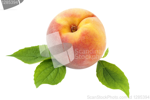 Image of peach