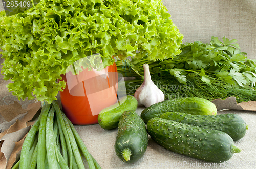 Image of cucumber