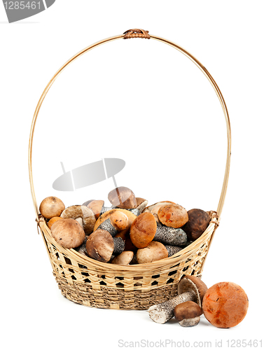 Image of Basket with mushrooms