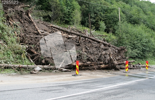 Image of Landslide