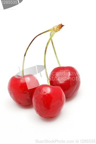 Image of Cherry