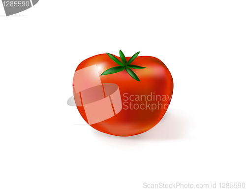 Image of tomato