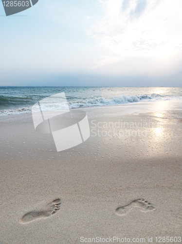 Image of Footprints on beach