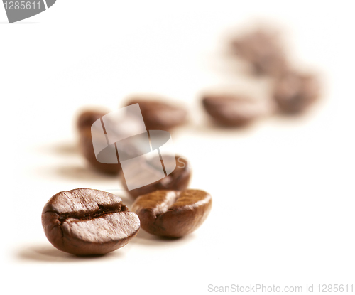 Image of Coffee Beans