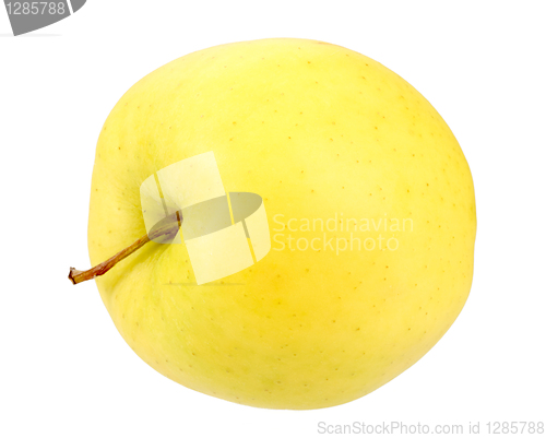 Image of Single a yellow apple
