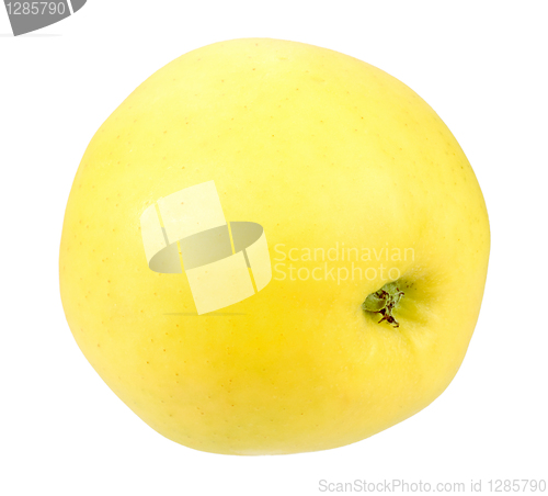 Image of Single a yellow apple