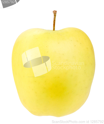 Image of Single a yellow apple