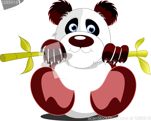 Image of Little sitting panda. Vector illustration