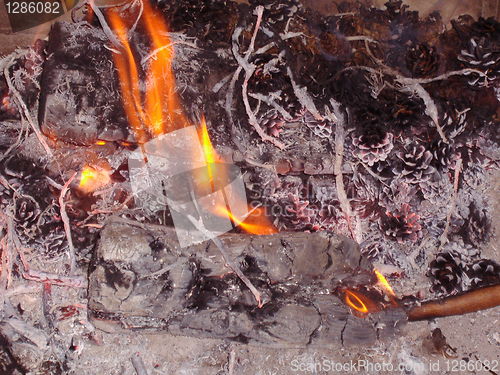 Image of Flame and ashes