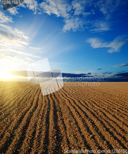 Image of black ploughed field