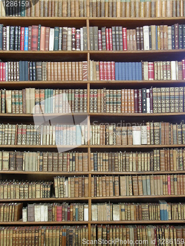 Image of Rows of books on library shelves