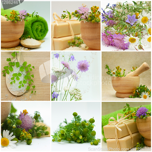Image of Collage - Alternative Medicine and Herbal Treatment