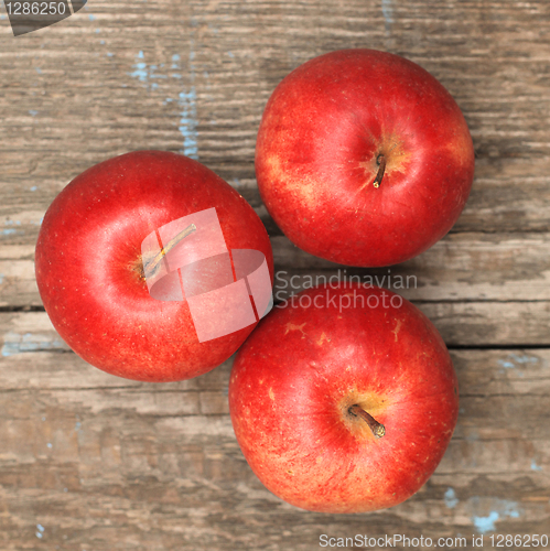 Image of Red ripe apple