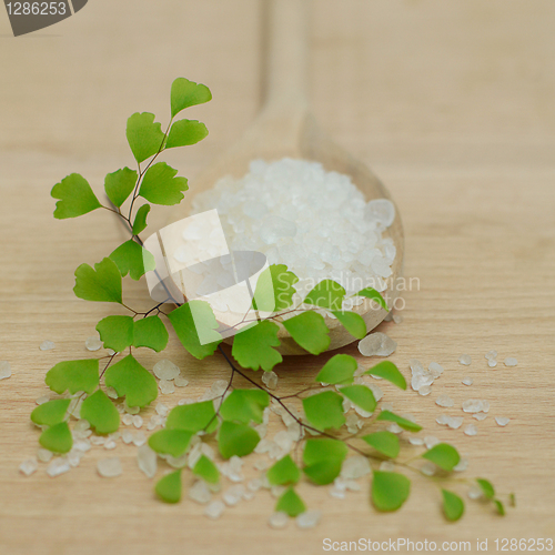 Image of Spa Concept - Bath Salt and Green Leaves on Background