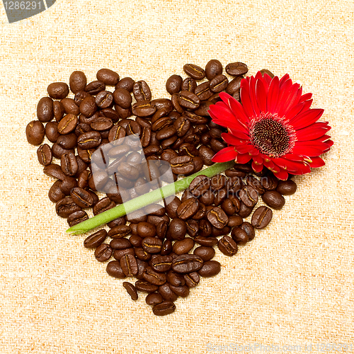 Image of Heart - coffee and red flower on background