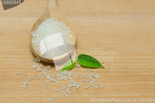 Image of Spa Salt and Green Leaf on Background - Alternative Herbal Medic