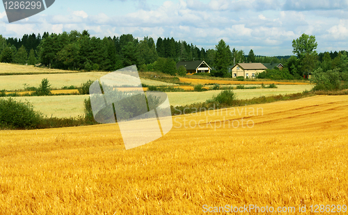 Image of Beautiful landscape - field, farm and sky