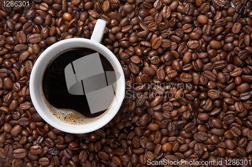 Image of Coffee cup on background of beans