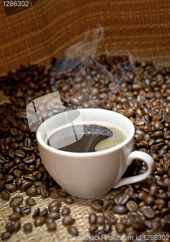 Image of Coffee cup with roasted beans