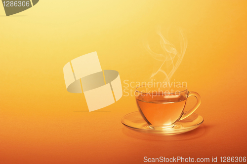 Image of Cup of hot tea