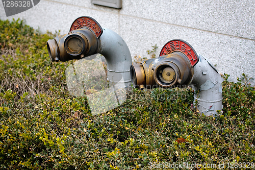 Image of Korean fire hydrants