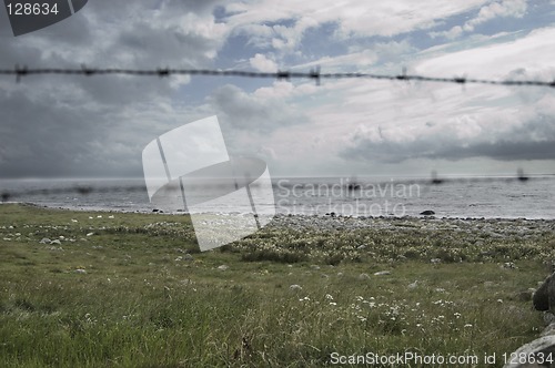 Image of Barbed Wire