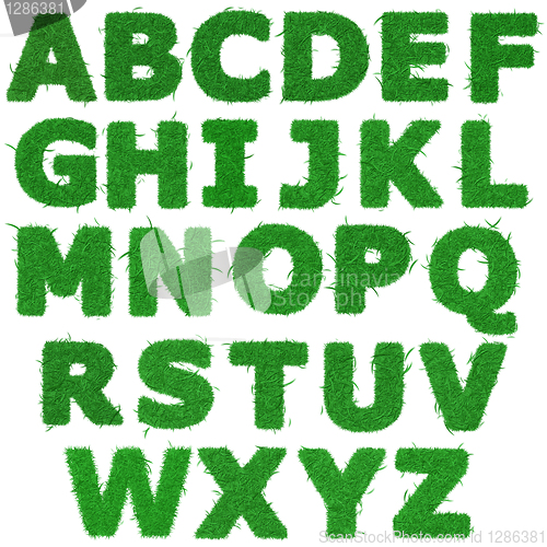 Image of All letters of green grass alphabet