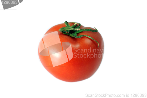 Image of Beautiful Tomato