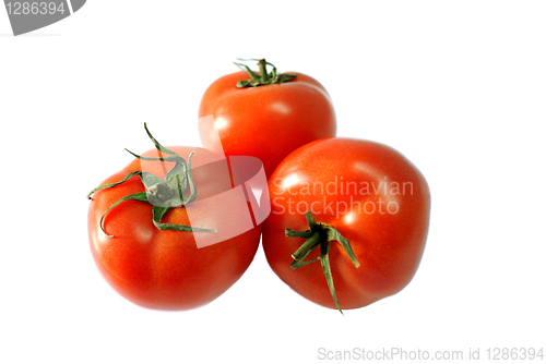 Image of Three Tomatoes