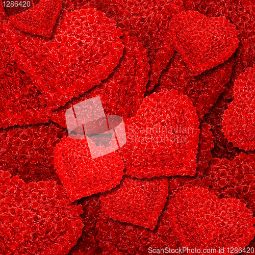 Image of background from red roses in the form of heart