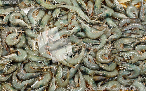 Image of Shrimps at seafood market