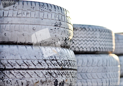 Image of close up of racetrack fence of  white old tires