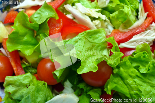 Image of Vegetable salad from cucumbers, pepper, tomatoes, green salad