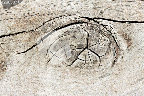 Image of Wood texture