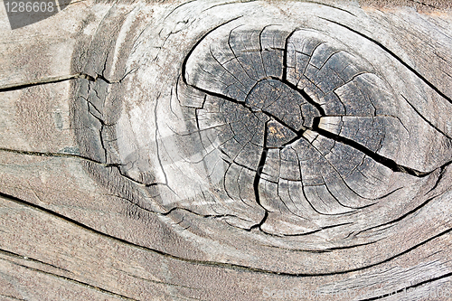 Image of Texture of old wood with cracks