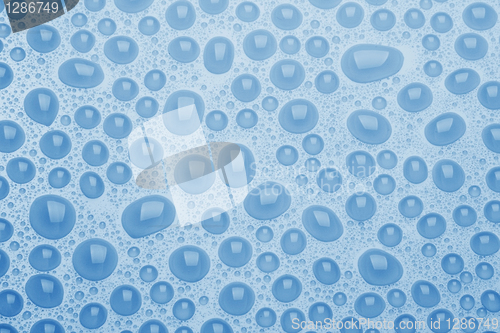 Image of Close-up of water drops