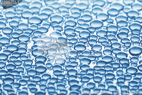 Image of Close-up of water drops