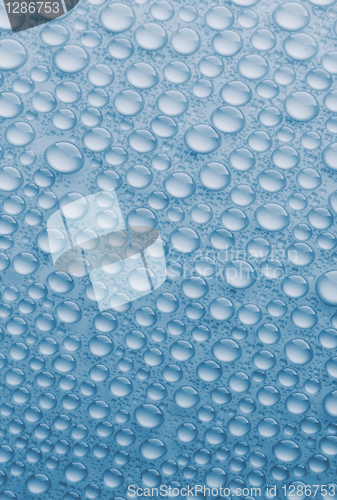 Image of Close-up of water drops